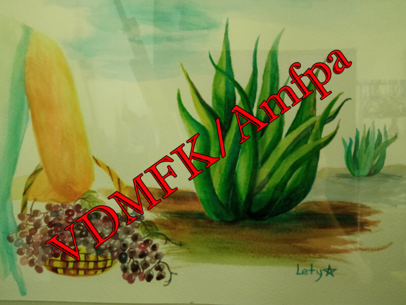 Tierra a la mesa (Lety Estrella)